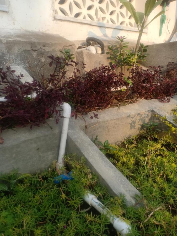 Hn Palace Homestay آغْرا المظهر الخارجي الصورة